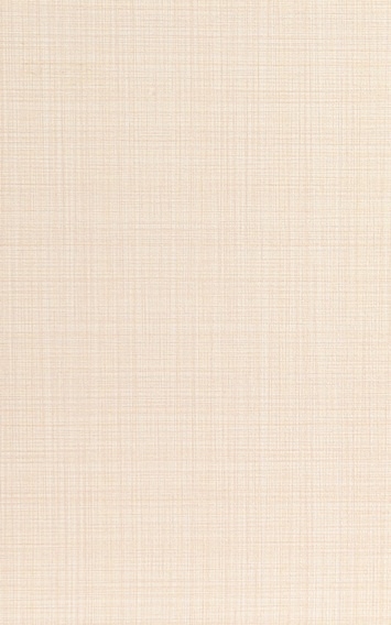 Плитка Len 250х400