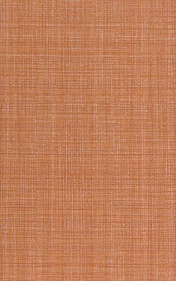 Плитка Len 250х400