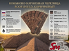 Коньково-карнизная черепица Roofshield, Коричневый