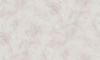 The Best Titanium Shade